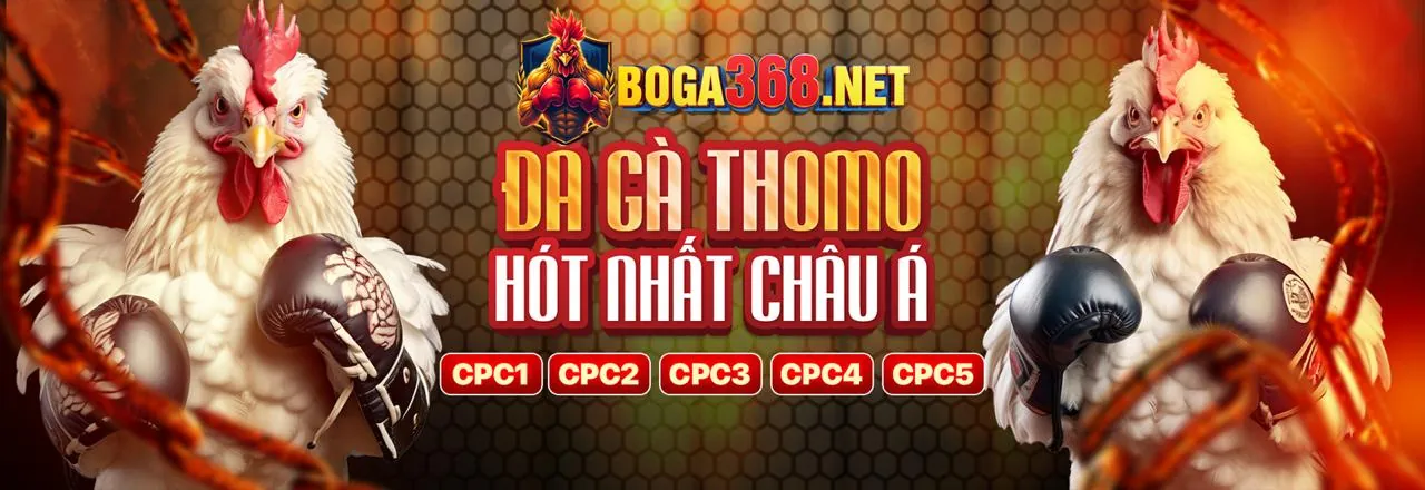 Cá cược thể thao Win789